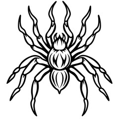 Blazing Wolf Spider Line Art Vector
