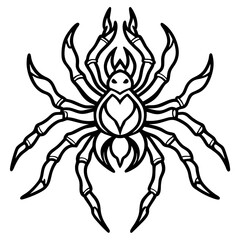 Blazing Wolf Spider Line Art Vector