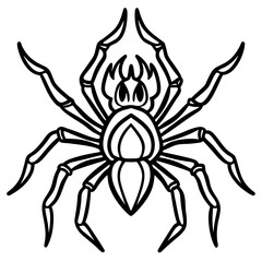 Blazing Wolf Spider Line Art Vector