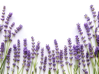 Fototapete Rund A beautiful frame of lavender flowers on a white background perfect for invitations © Md