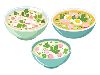 vector illustration of a russian food Okroshka (Cold Summer Soup Made with Kvass or Kefir, Vegetables, and Meat)