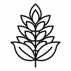 Amaranth outline  icon on white background