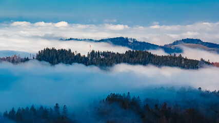 Spring landscape on a foggy day at Kostenz, Perasdorf, Straubing-Bogen, Bavarian forest, Bavaria, Germany