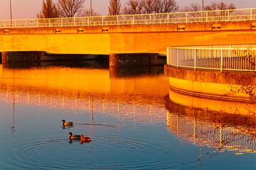Spring sunset or sundowner view with reflections near Plattling, Isar, Deggendorf, Bavaria, Germany