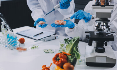 Chemical Laboratory of the Food supply . Food in laboratory, dna modify .GMO Genetically modified...