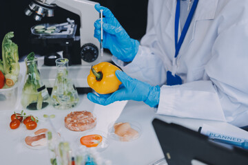 Chemical Laboratory of the Food supply . Food in laboratory, dna modify .GMO Genetically modified...