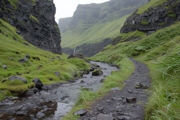 A lush green valley with a rocky path and stream winds between steep cliffs under a misty sky.