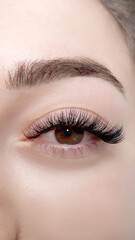 Obraz premium Close up of female eye with eyelash extensions ,eyelash extension procedure.2