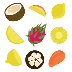 Tropical fruits collection. Mango, coconut, lemon, dragon fruit, pitaya, mangosteen, pineapple, pitahaya. Vector illustrations of exotic fruits set