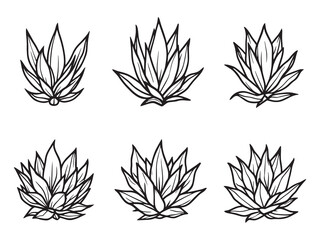 Agave line art vector illustration