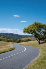 solitary country road winding through fields with clear blue sky above providing ample copy space