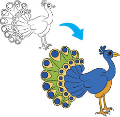Cute Peacock Cartoon Outline and Coloring Illustration Isolated on White Background