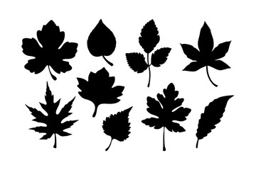 Leaf silhouette vector illustration