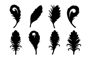 Peacock feather silhouette vector illustration