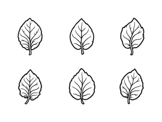 Obraz premium Basil line art vector illustration