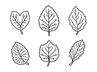 Obraz premium Begonia line art vector illustration