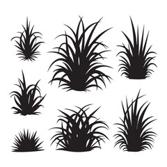 Assortment of grass silhouettes collection