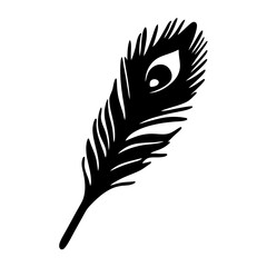 Peacock feather ornamental vector illustration