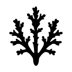 Symmetrical oak branch tree vector illustration