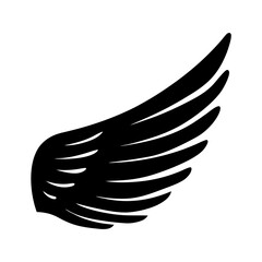Wing bird feather vector illustration