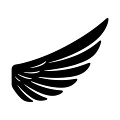 Wing bird feather vector illustration