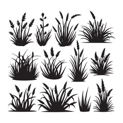 Assortment of grass silhouettes collection