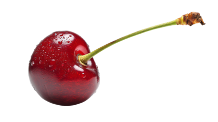 a single cherry with a stem sticking out of it