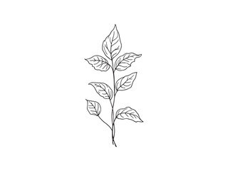 Dryad Leaf line art vector illustration
