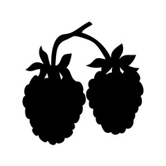 blackberries fruit minimalist silhouette icon isolated vector illustration