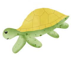 turtle