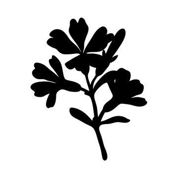 Abstract verbena flower black silhouette icon vector illustration