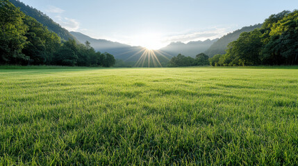Fototapeta premium Lush green meadow with sunlight streaming through mountains, creating serene atmosphere