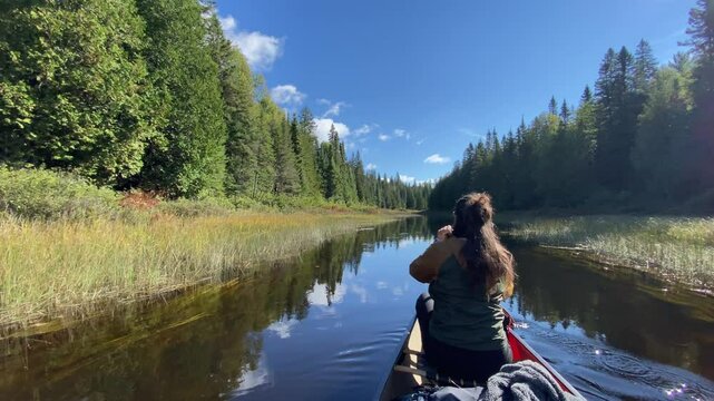 Back-shot of a woman on a canoe paddling through a river in Temagami River Provincial Park, Canada