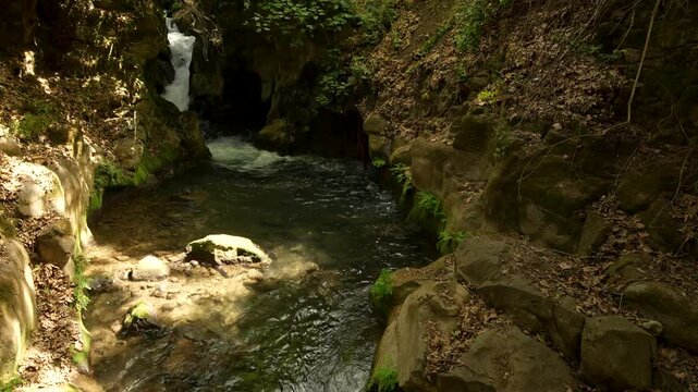 Nature Reserve The Banias river by the hermon stream Mountain, Israel
