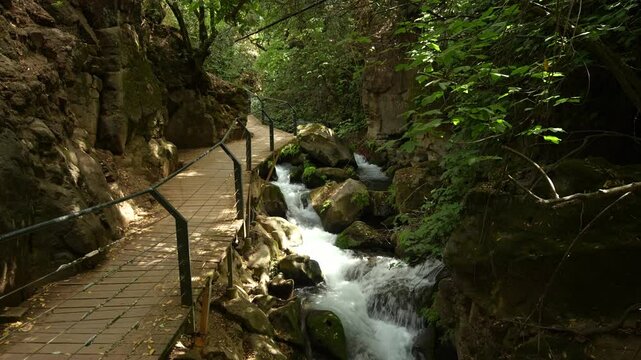 Nature Reserve The Banias river by the hermon stream Mountain, Israel