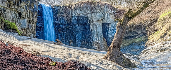 Dramatic landscape of a waterfall cascading into a stream beside a majestic tree and rocky cliffside