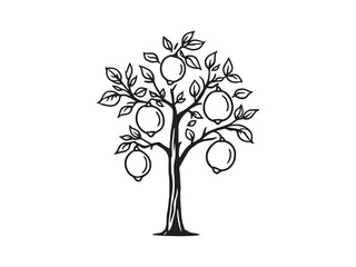Lemon Tree line art vector illustration