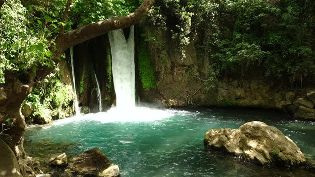 Nature Reserve The Banias river by the hermon stream Mountain, Israel
