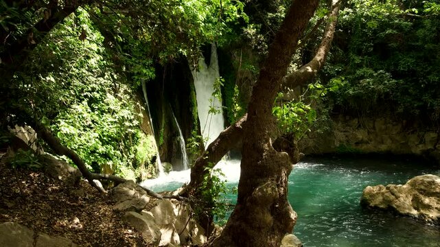 Nature Reserve The Banias river by the hermon stream Mountain, Israel