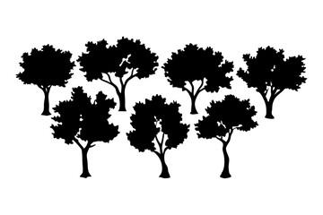 Cottonwood tree silhouette collection isolated on white vector illustration