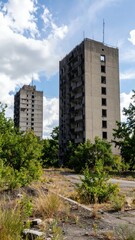 Urban Decay and Nature Reclamation in Abandoned City Skyline