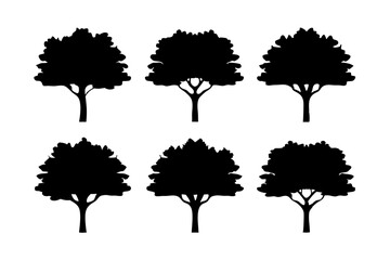 Mature stone pine tree silhouette icons vector illustration