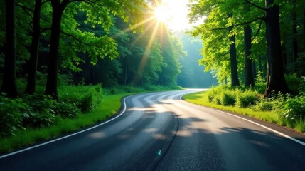 Obraz premium Serene Winding Road Through Lush Green Forest at Sunrise