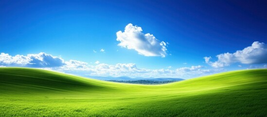 Obraz premium Lush Green Valley Under Sunny Skies