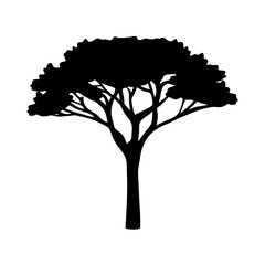 Stone pine tree mature silhouette vector illustration