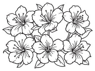 Oleander line art vector illustration