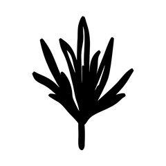 Fototapeta premium Yucca flower silhouette in minimal vector style vector illustration