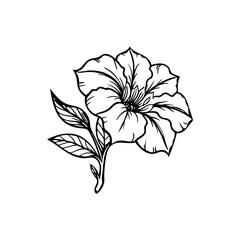 Elegant Petunia Flower Line Art with Textured Leaves