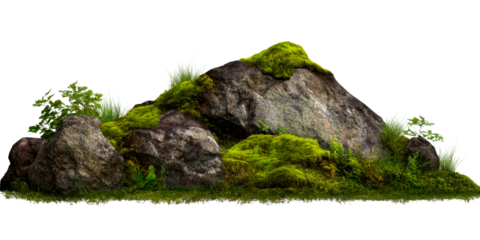 Mossy rocks with vibrant grasses and plants, cut out transparent