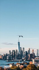Obraz premium Bird Flying in Front of Urban Skyline with Towering Buildings